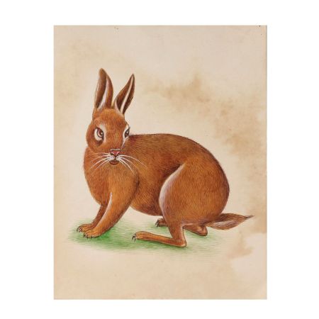 Brown Rabbit Canvas Water Color Painting