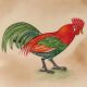 Rooster Watercolor Miniature Painting