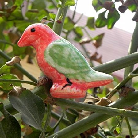 Macaw Bird Cabinet Knob