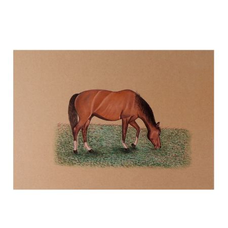 Watercolor Painting Of A Horse Grazing The Field