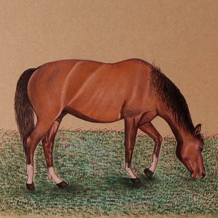 Watercolor Painting Of A Horse Grazing The Field