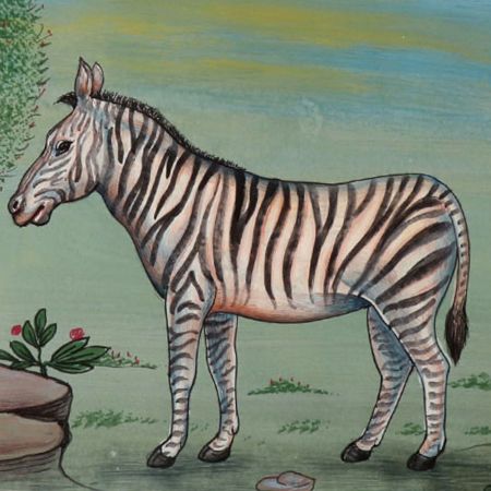 Watercolor Painting Of Zebra With Stripes
