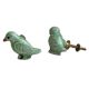Parrotlet Cabinet Bird Knob