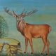 Watercolor Wildlife Deer Painting