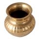 Glossy Vintage Bronze Water Pot