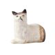 White  Porcelain Miniature Cat Figurine