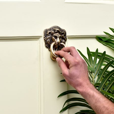 Brass Majestic Lion Door Knocker