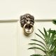 Brass Majestic Lion Door Knocker