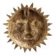 Brass Sun Face God Surya Wall Hanging