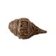 Brass Conch with Gods Carved Statues
