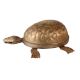 Brass Turtle Statue Or Idol