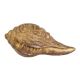 Brass Engraved Conch Shell for Pooja