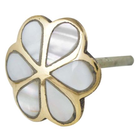 Pack of 6 Pieces Alyssum Flower Brass Shell Cabinet Knob