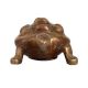Lovely Brass Turtle for Home Decoration