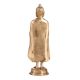 Brass Standing Lord Buddha Statue