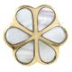 Pack of 6 Pieces Alyssum Flower Brass Shell Cabinet Knob
