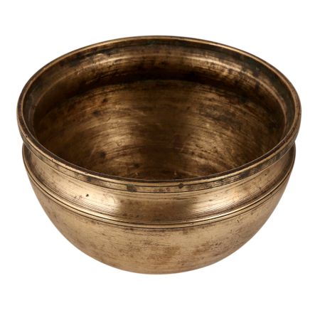 Adorable Brass Flower Pot for Home Decoration