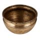 Adorable Brass Flower Pot for Home Decoration