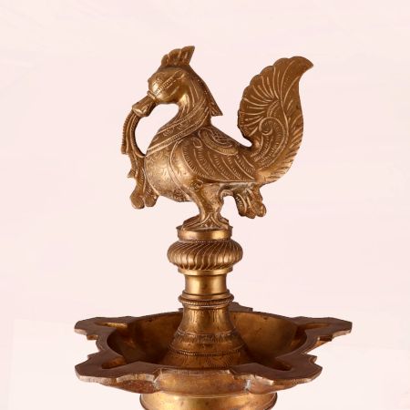 Antique Brown Peacock Oil Lamp Made of Premium Brass