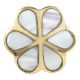 Mother of Pearl Knobs - White Cupboard Knobs - Gold Drawer Knobs