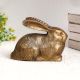 Beautiful Brown Finish Rabbit Statue Made of Brass