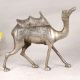 Shiny Handmade Brass Camel Statue in Silver Finish for Decor