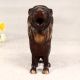 Dark Finish Handmade Lion Statue Made of Finest Brass