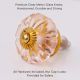 Peach Pink Melon Glass Knob (1)