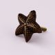 Modern Antique Starfish Iron Wall Hooks-3 Pieces