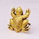 Modern Brass Frog Wall Hook In Golden