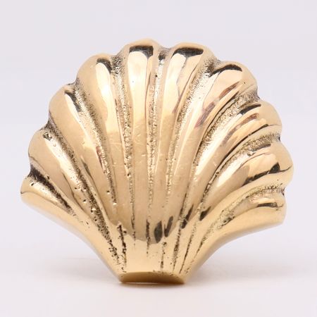Solid Golden Shell Brass Drawer Knob-6 Pieces
