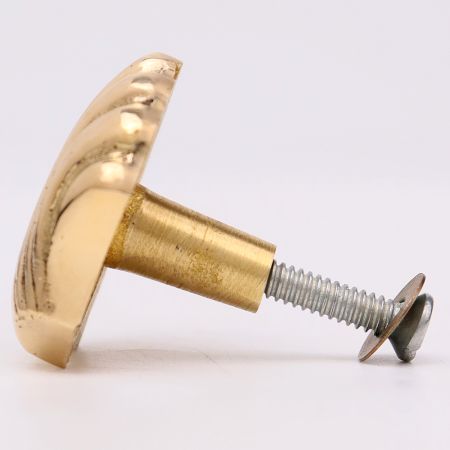 Solid Golden Shell Brass Drawer Knob-6 Pieces