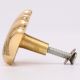 Solid Golden Shell Brass Drawer Knob-6 Pieces
