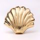 Solid Golden Shell Brass Drawer Knob-6 Pieces
