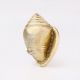 Golden Brass Conch Shell Drawer Knob