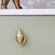 Golden Brass Conch Shell Drawer Knob