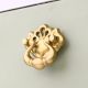 Golden Pull Aluminum Knobs