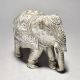 Beautiful Elephant With Maharaja Work