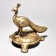 Brass Peacock Figurine on Table