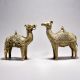 Exquisite Tribal Camel Pair with Jali Work