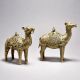 Exquisite Tribal Camel Pair with Jali Work