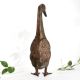 Decorative Brass Goose Statue for Collection