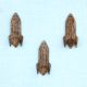 Natural Wooden Adhesive Rocket Shape Coat Wall Hook-Pack of 3