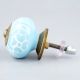 Turquoise Painted Leaf Knob