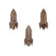 Natural Wooden Adhesive Rocket Shape Coat Wall Hook-Pack of 3