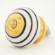 White Black Knob