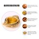 Brass Decorative Conch Shaped Oil Lamp